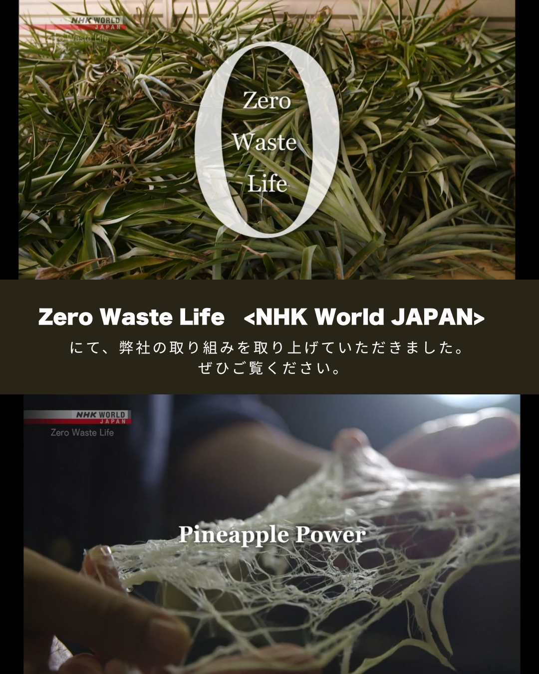 NHK World JAPAN「Zero Waste Life」