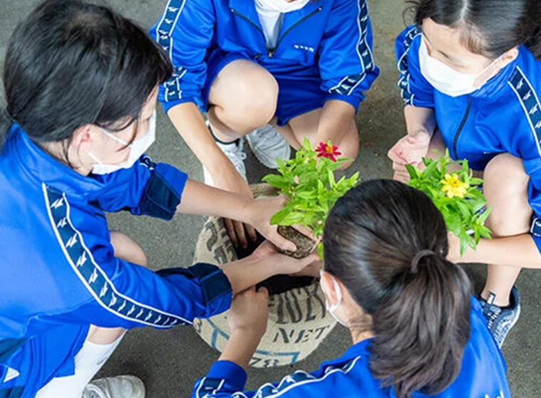 那覇市立松島中学校でSDGs「つくる責任、つかう責任」をテーマにした 服育授業と天然繊維プランターでの緑化活動を実施しました