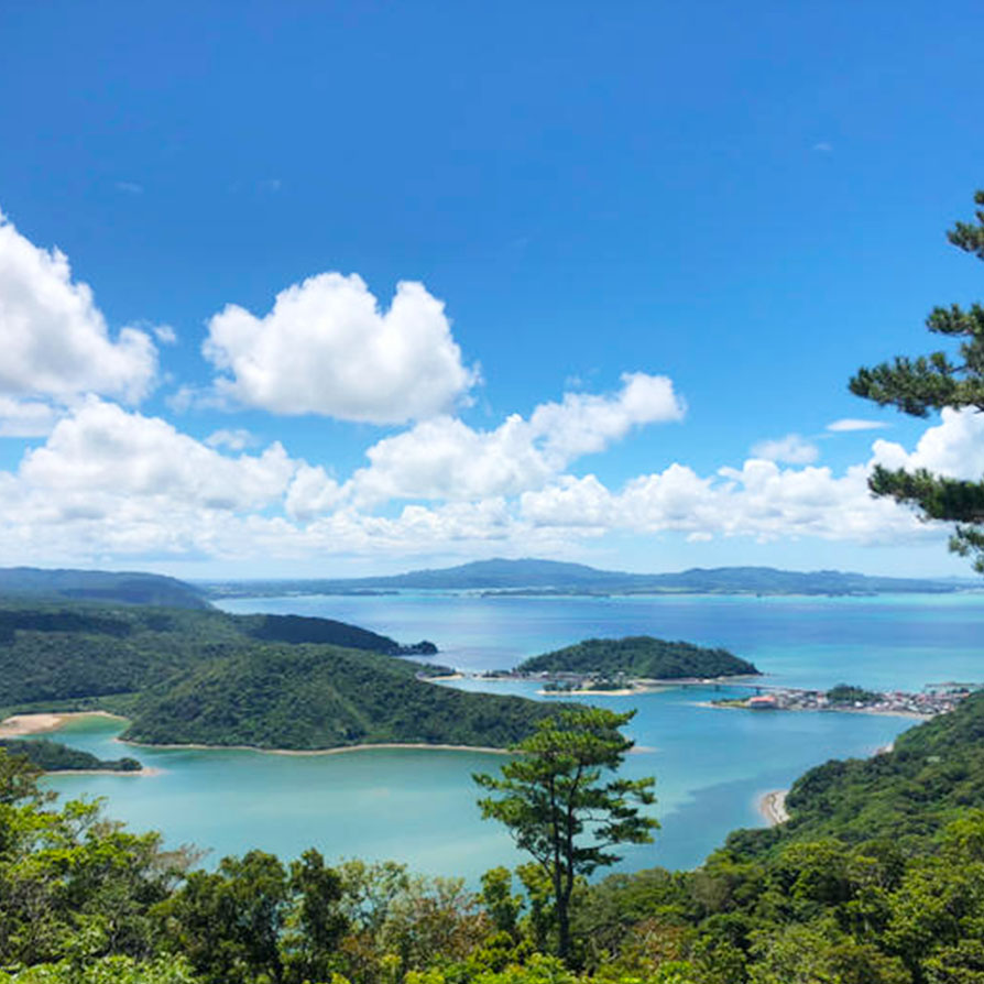 沖縄県大宜味村の風景