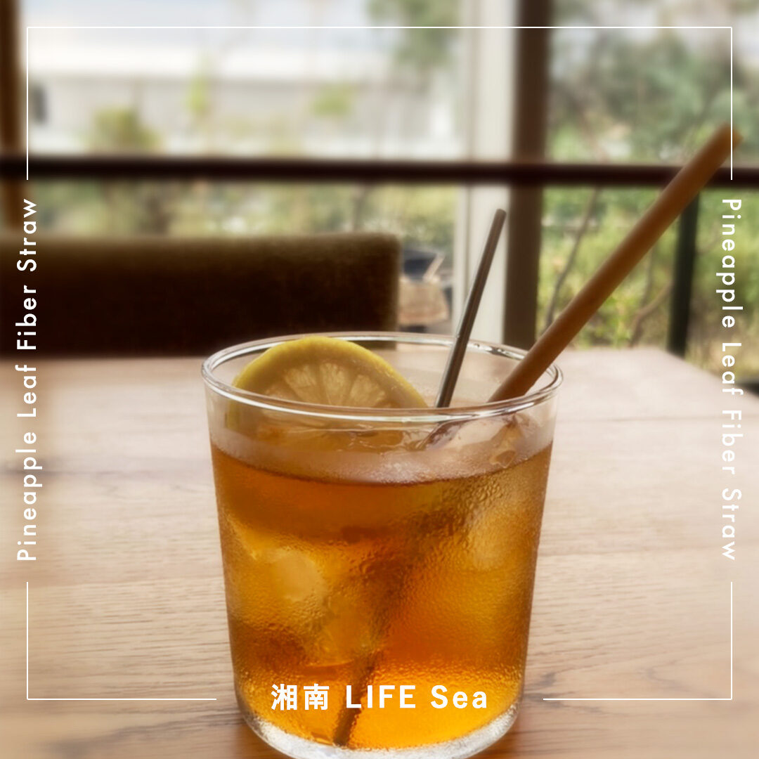 湘南LIFE Sea