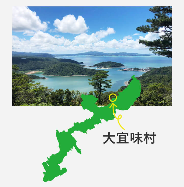 大宜味村は沖縄県北部 やんばるにあります
